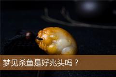 梦见杀鱼是好兆头吗？