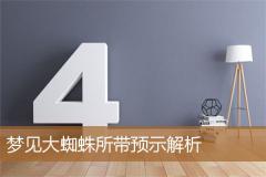 梦见大蜘蛛所带预示解析