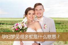 孕妇梦见很多蛇是什么意思？