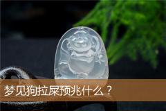 梦见狗拉屎预兆什么？