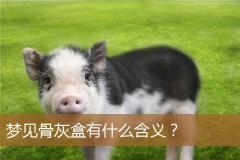 梦见骨灰盒有什么含义？