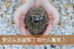 梦见头发被剪了有什么寓意？