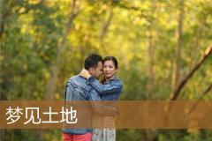 梦见土地