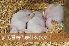 梦见看病代表什么含义？
