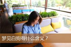 梦见白狗有什么含义？