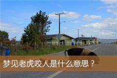 梦见老虎咬人是什么意思？