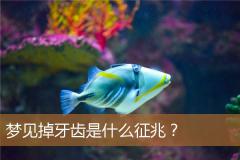 梦见掉牙齿是什么征兆？
