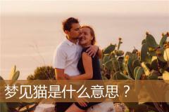 梦见猫是什么意思？