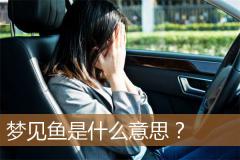 梦见鱼是什么意思？
