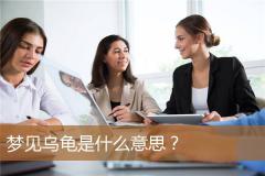 梦见乌龟是什么意思？