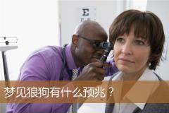 梦见狼狗有什么预兆？