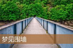 梦见围墙