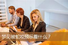 梦见被蛇咬预示着什么？