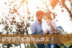 做梦梦见蛇有什么含义？