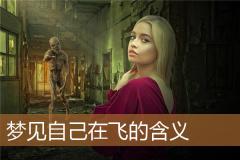 梦见自己在飞的含义