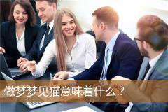 做梦梦见猫意味着什么？