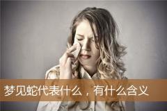梦见蛇代表什么，有什么含义
