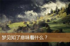 梦见知了意味着什么？