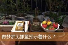 做梦梦见抓鱼预示着什么？