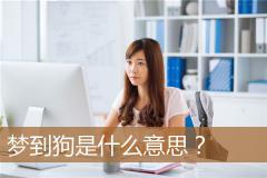 梦到狗是什么意思？