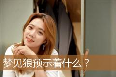 梦见狼预示着什么？