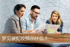 梦见被蛇咬预示什么？