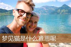 梦见猫是什么意思呢