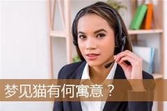 梦见猫有何寓意？