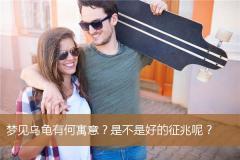 梦见乌龟有何寓意？是不是好的征兆呢？