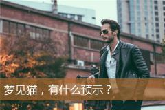 梦见猫，有什么预示？