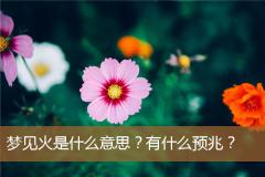 梦见火是什么意思？有什么预兆？