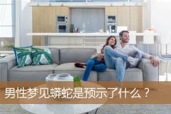 男性梦见蟒蛇是预示了什么？