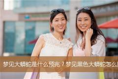 梦见大蟒蛇是什么预兆？梦见黑色大蟒蛇怎么回事？