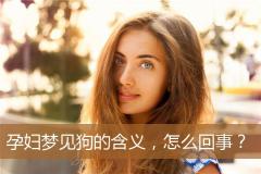 孕妇梦见狗的含义，怎么回事？