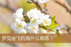 梦见坐飞机有什么意思？