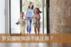 梦见猫咬我该不该注意？