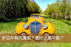 梦见牛有何寓意？是好还是坏呢？