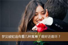 梦见被蛇追有着几种寓意？是好还是坏？