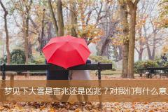 梦见下大雪是吉兆还是凶兆？对我们有什么意义？