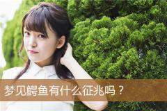 梦见鳄鱼有什么征兆吗？
