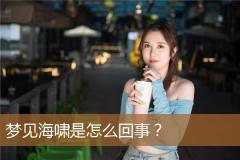 梦见海啸是怎么回事？