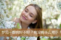 梦见一群狗好不好？有没有什么预示？