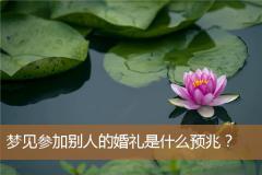 梦见参加别人的婚礼是什么预兆？