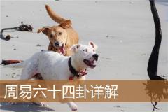 周易六十四卦详解