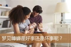 梦见蟑螂是好事还是坏事呢？