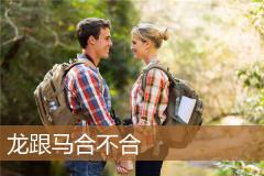 龙跟马合不合