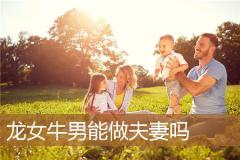 龙女牛男能做夫妻吗