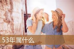 53年属什么