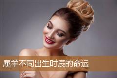 属羊不同出生时辰的命运
