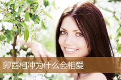 卯酉相冲为什么会相爱